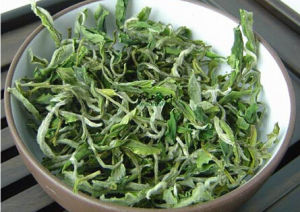 蒼山雪綠 蒼山雪綠