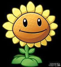 植物大戰殭屍2派王上帝2