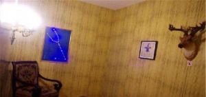 PUZ真人密室逃脫