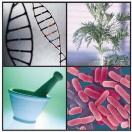 插入[生物學名詞]