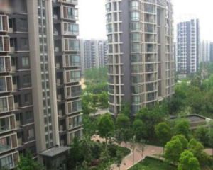 南京銀龍花園 南京銀龍花園