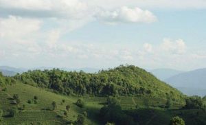 高香生態茶文化旅遊區 高香生態茶文化旅遊區