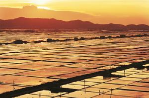 岱山鹽主題公園