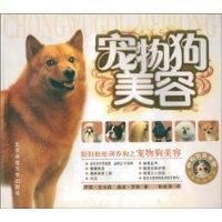 《寵物狗美容》