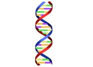 雙螺鏇結構 雙螺鏇結構