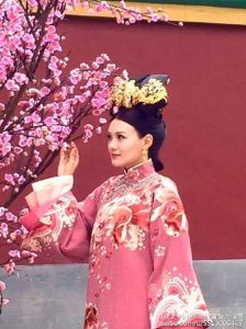 安嬪[電視劇《寂寞空庭春欲晚》中人物]