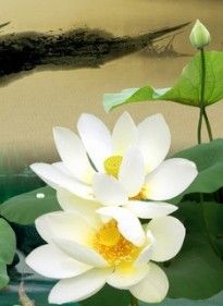 內江日報 內江日報