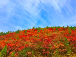 林縣[中國安陽林縣]