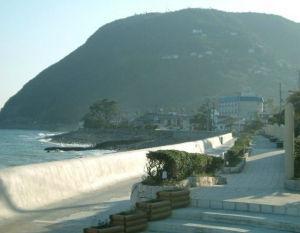 伊豆片瀨溫泉 伊豆片瀨溫泉