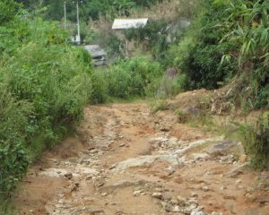 老平掌自然村 老平掌自然村