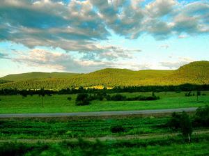 低碳經濟[減少高碳能源消耗的經濟發展模式]