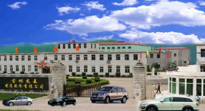 吉林龍泰製藥股份有限公司 吉林龍泰製藥股份有限公司