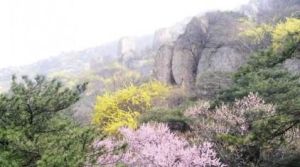 徂徠山國家森林公園