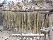 潭頭鎮[河南省洛陽市欒川縣潭頭鎮]