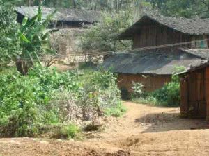 大沖子自然村 大沖子自然村