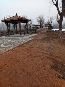 西圈濕地 西圈濕地