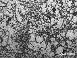 共晶系統 共晶系統