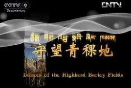 守望青稞地 守望青稞地