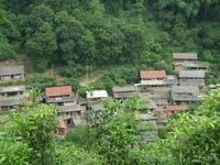 村莊全貌