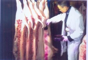 檢驗檢疫 檢驗檢疫