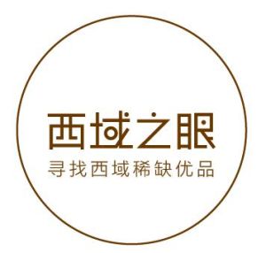 深圳西域之眼投資發展有限公司