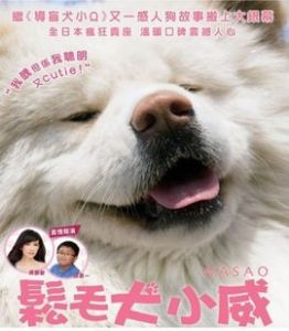 松毛犬小威 松毛犬小威