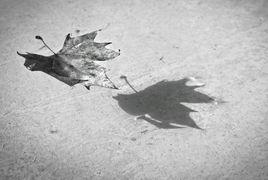 本事[水谷滿處白詩歌]