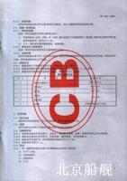 標準化戰略 標準化戰略