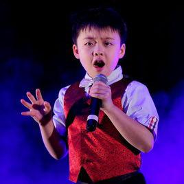 時間都去哪了[李成宇、王巧演唱的歌曲]