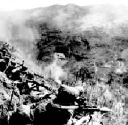 對越自衛還擊作戰 對越自衛還擊作戰