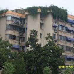 長寧街小區 長寧街小區