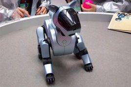 智慧型狗 智慧型狗