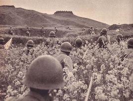 甲種師團 甲種師團