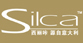 silca瘦腿襪