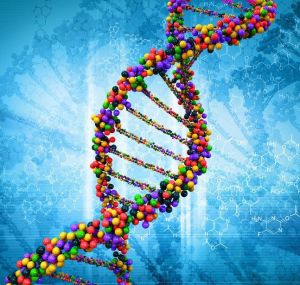 甘迺迪氏症 甘迺迪氏症