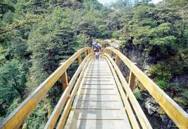 瓦希尼森林公園 瓦希尼森林公園