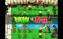 植物大戰殭屍春哥版 植物大戰殭屍春哥版