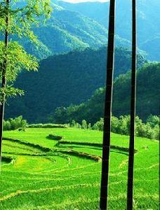 馬頭山鎮 馬頭山鎮