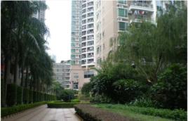 金沙花園 金沙花園