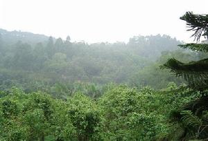 （圖）沙灣縣森林公園