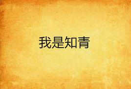 我是知青 我是知青