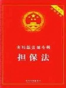 共同抵押