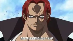 面子果實 面子果實