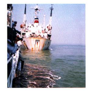 1998年11月13日“建設51”號輪與“津油 6”號輪相撞漏油
