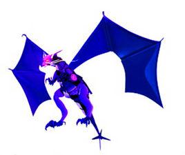 音龍安宇 音龍安宇