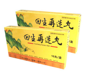 回生再造丸 回生再造丸