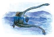 神出鬼沒的海怪