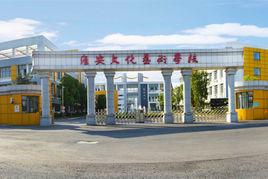 淮安文化藝術學校 淮安文化藝術學校