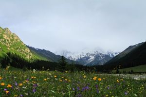 烏恰縣玉其塔什草原