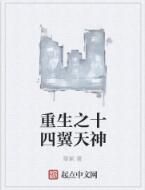 重生之十四翼天神 重生之十四翼天神